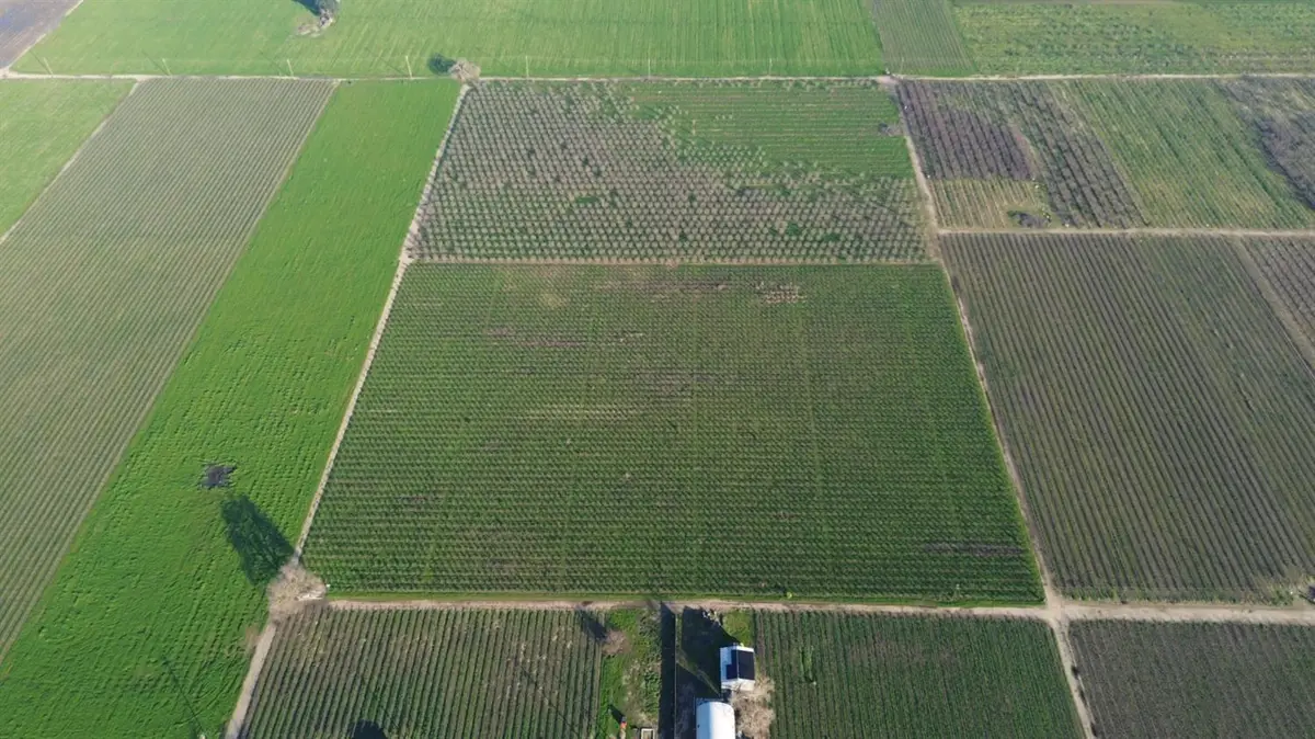 0 Locust Tree Road, Lodi, CA 95240 - #1