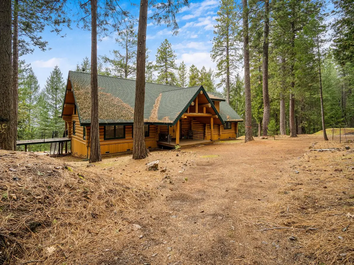 5720 Blue Mountain Drive, Grizzly Flats, CA 95636 - #1