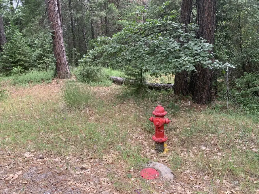 3501 Amapola Court, Pollock Pines, CA 95726 - #2