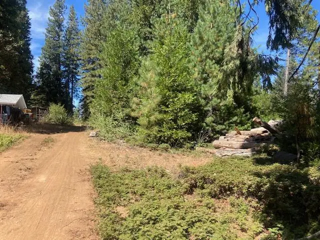 27597 State Highway 88, Pioneer, CA 95666 - #3