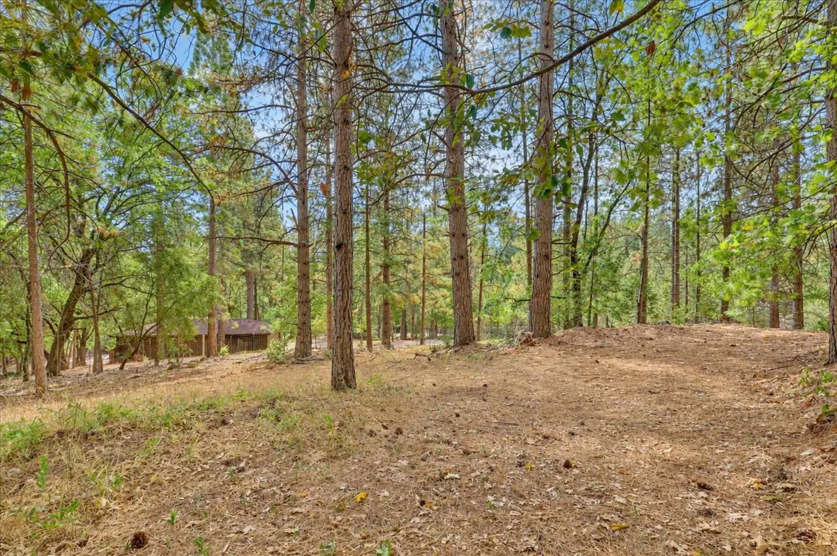 15948 Brooks Road, Grass Valley, CA 95945 - #1