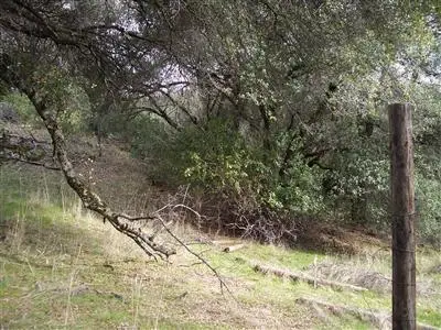 3701 Starburst Lane, Placerville, CA 95667 - #3
