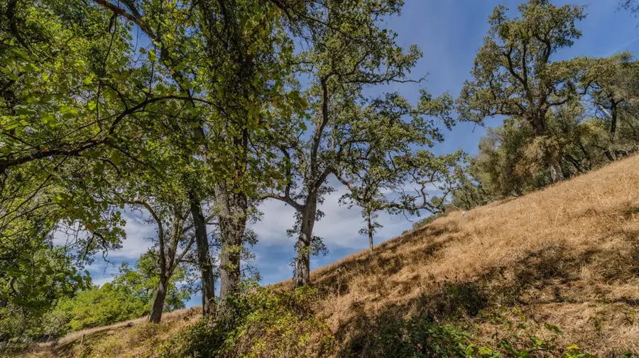 0 Eureka, Sutter Creek, CA 95685 - #3
