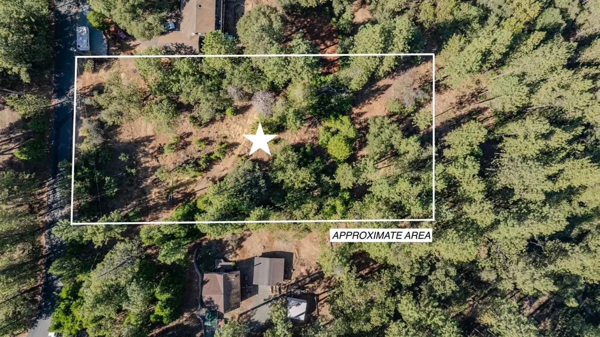 11456 Gold Strike Road, Pine Grove, CA 95665 - #1