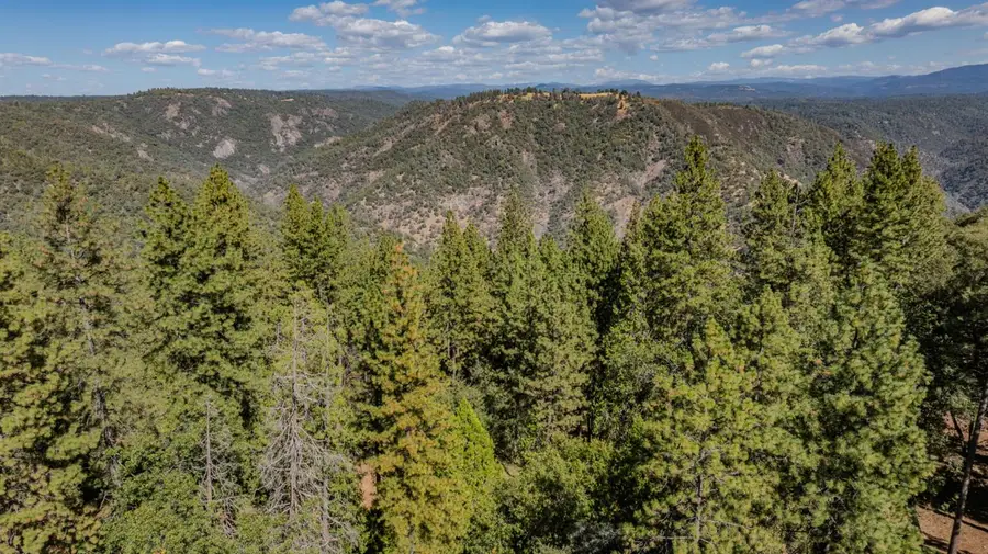 11456 Gold Strike Road, Pine Grove, CA 95665 - #2