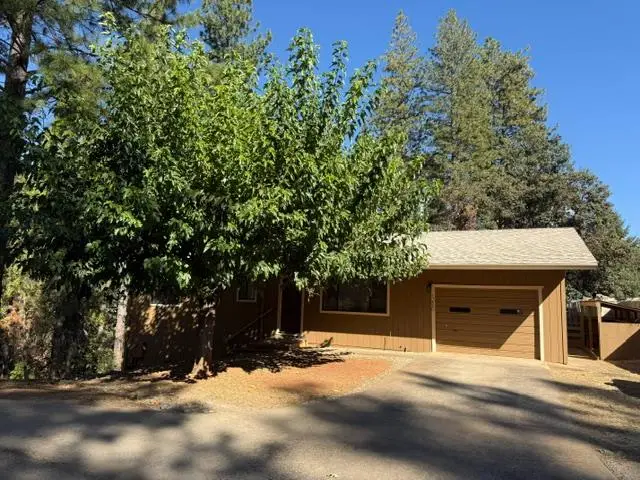 17890 Mira Vista Court, Pioneer, CA 95666 - #1