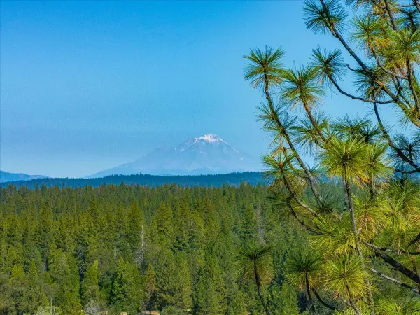 10400 Ponderosa Way, Whitmore, CA 96096