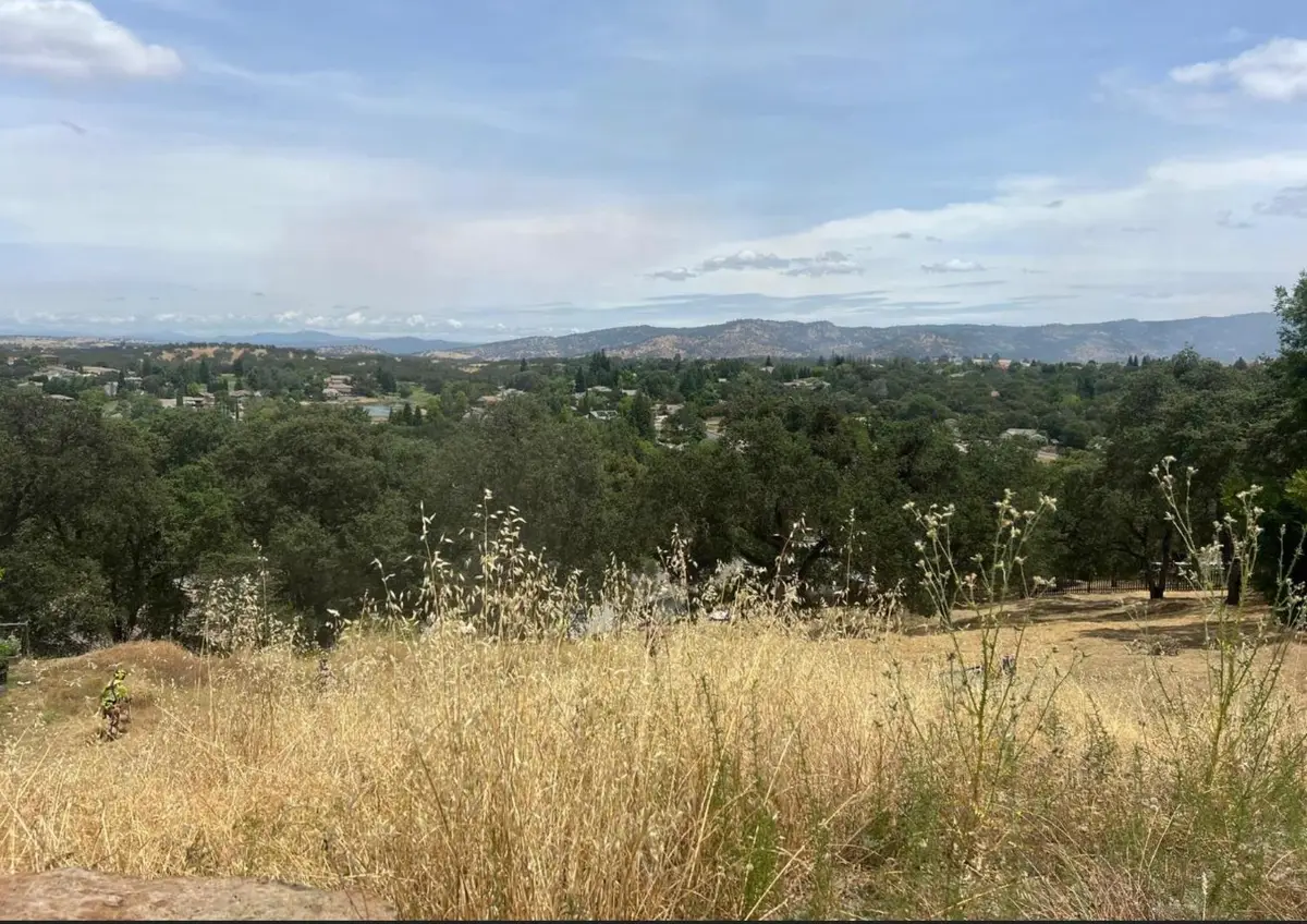 2351 Partridge Court, Valley Springs, CA 95252 - #1