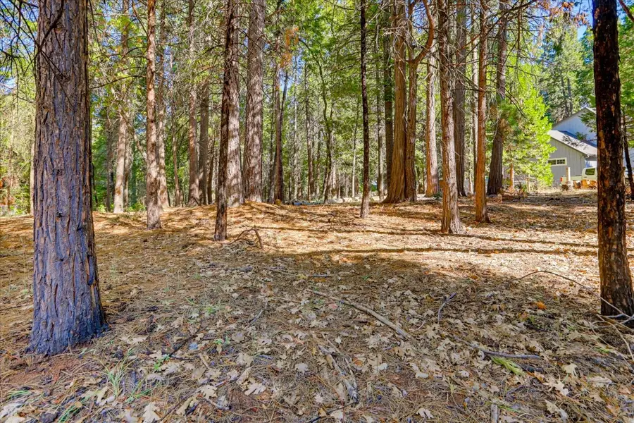 13184 Quaker Hill Cross Road, Nevada City, CA 95959 - #2