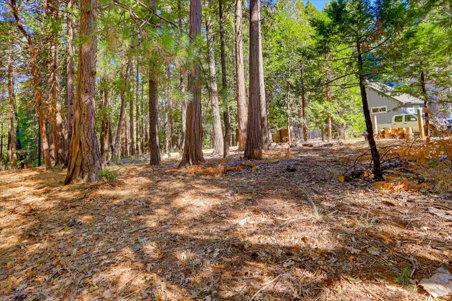 13184 Quaker Hill Cross Road, Nevada City, CA 95959 - #3