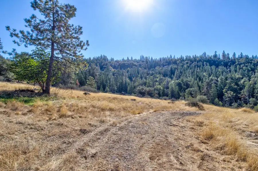 19710 Ponderosa Drive, Amador Pines, CA 95689 - #2