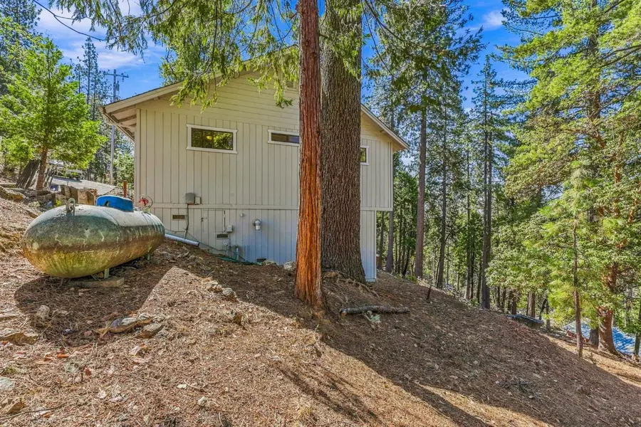 17859 Mira Vista Court, Pioneer, CA 95666 - #3