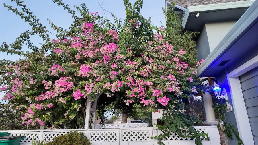 636 Joaquin Street, Lodi, CA 95240 - #3
