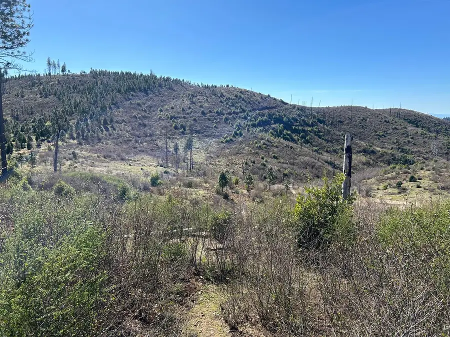 1234 Hog Ranch Road, Paradise, CA 95969 - #2