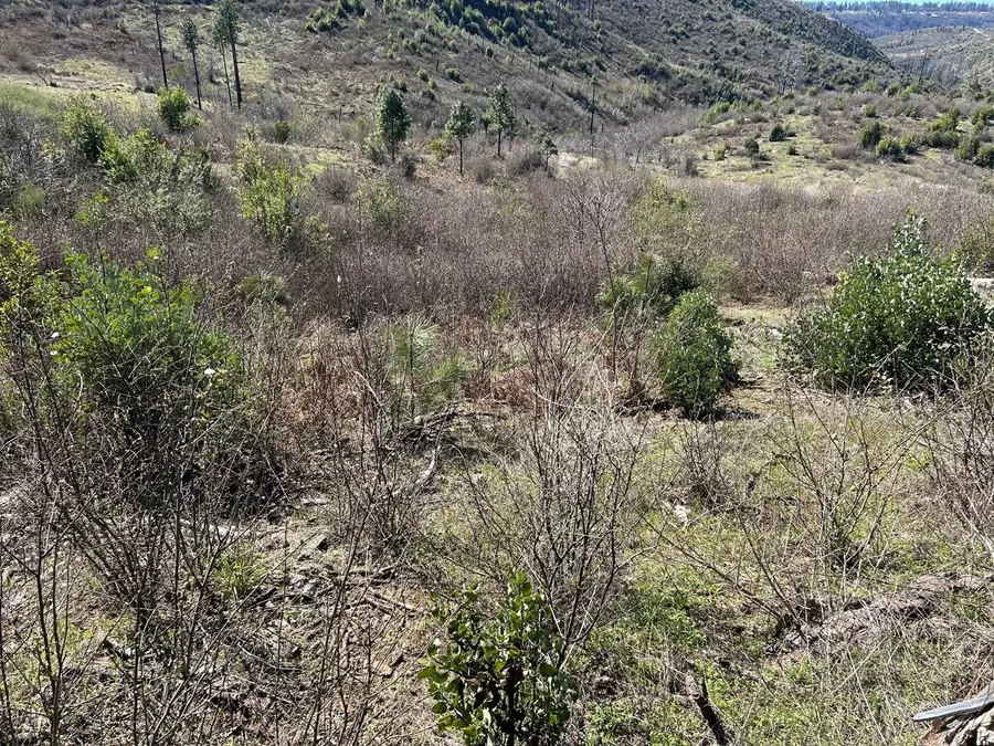 1234 Hog Ranch Road, Paradise, CA 95969 - #3