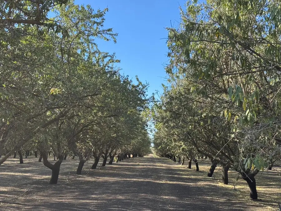 14540 Claribel Road, Waterford, CA 95386 - #2