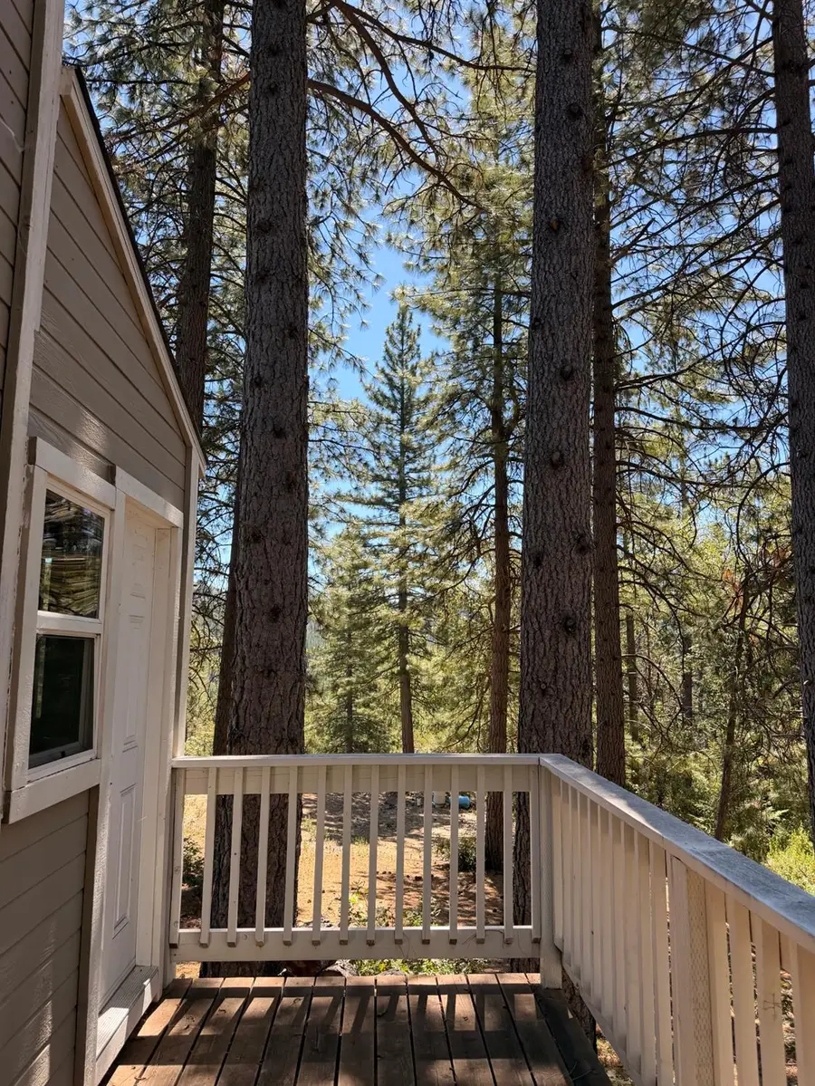 115 Main Street, Gold Run, CA 95717 - #2