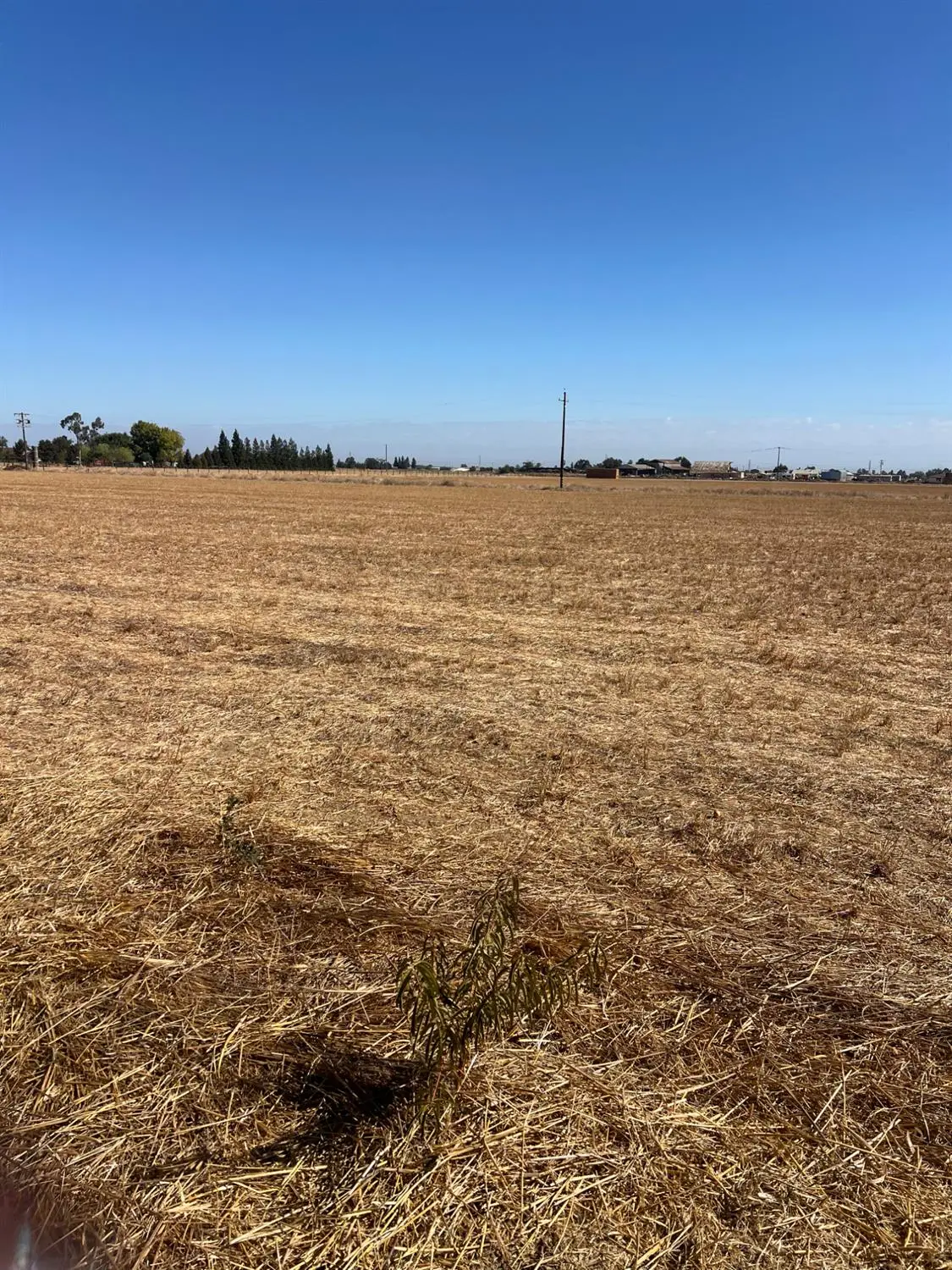 25653 N Toste Lane, Acampo, CA 95220 - #1