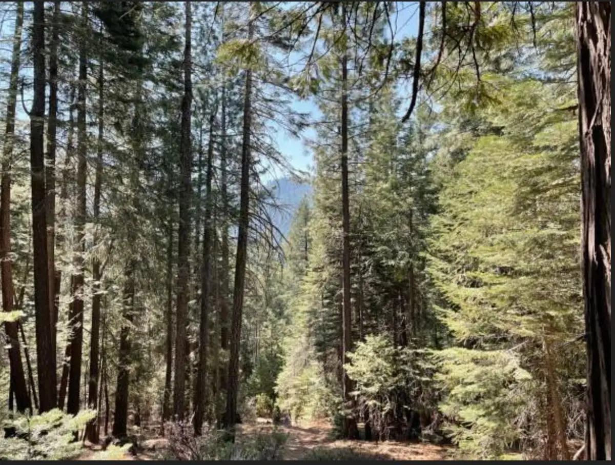 12664 Last Chance Mine Road, Nevada City, CA 95959 - #1