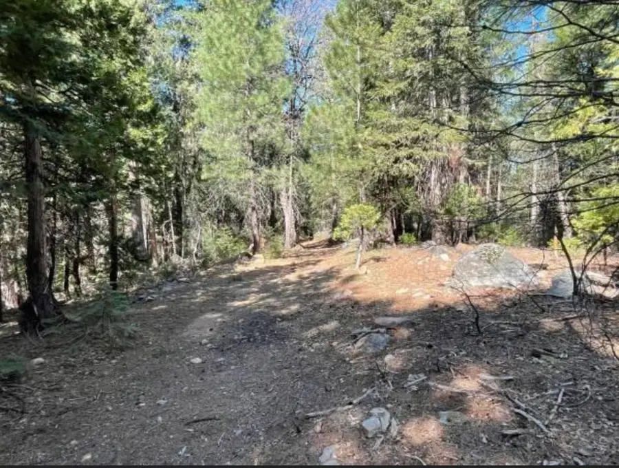 12664 Last Chance Mine Road, Nevada City, CA 95959 - #3