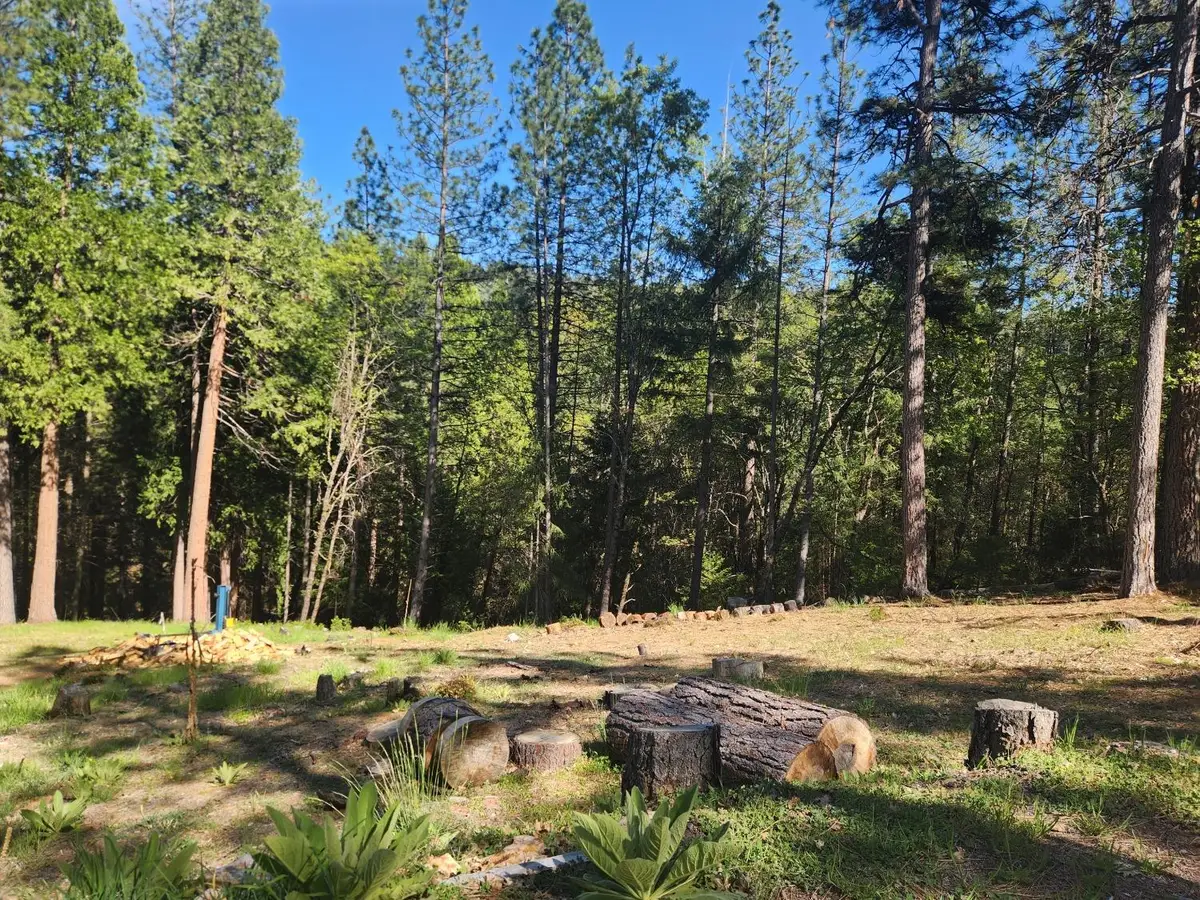 5508 Five Spot Road, Pollock Pines, CA 95726 - #1