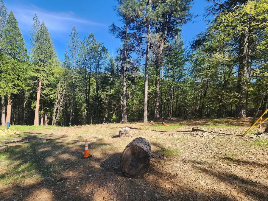5508 Five Spot Road, Pollock Pines, CA 95726 - #3