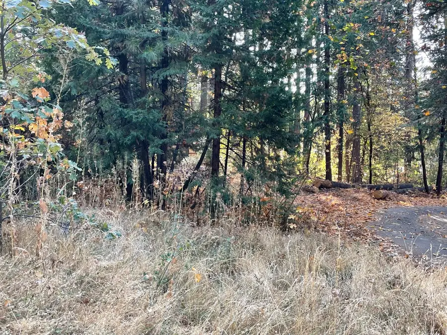 3062 Sly Park Road, Pollock Pines, CA 95726 - #2