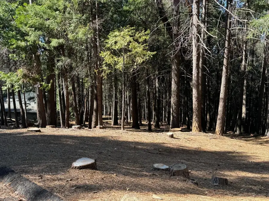 5771 Lupin Lane, Pollock Pines, CA 95726 - #2