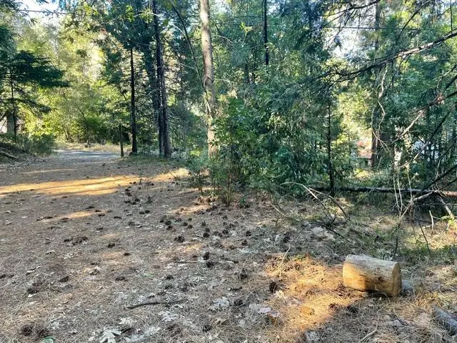114 Old Forbestown Road, Forbestown, CA 95966 - #3