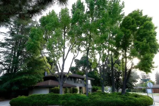 3631 Harpers Ferry Drive, Stockton, CA 95219 - #1