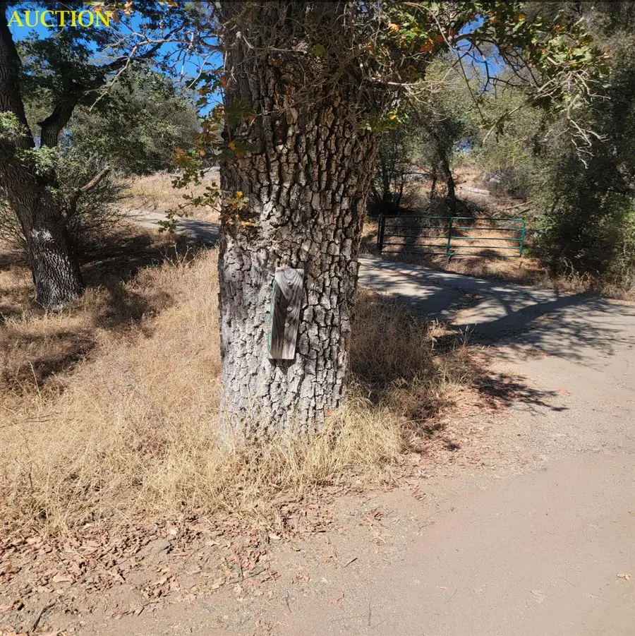 3730 Sherrod Road, Mariposa, CA 95338 - #2