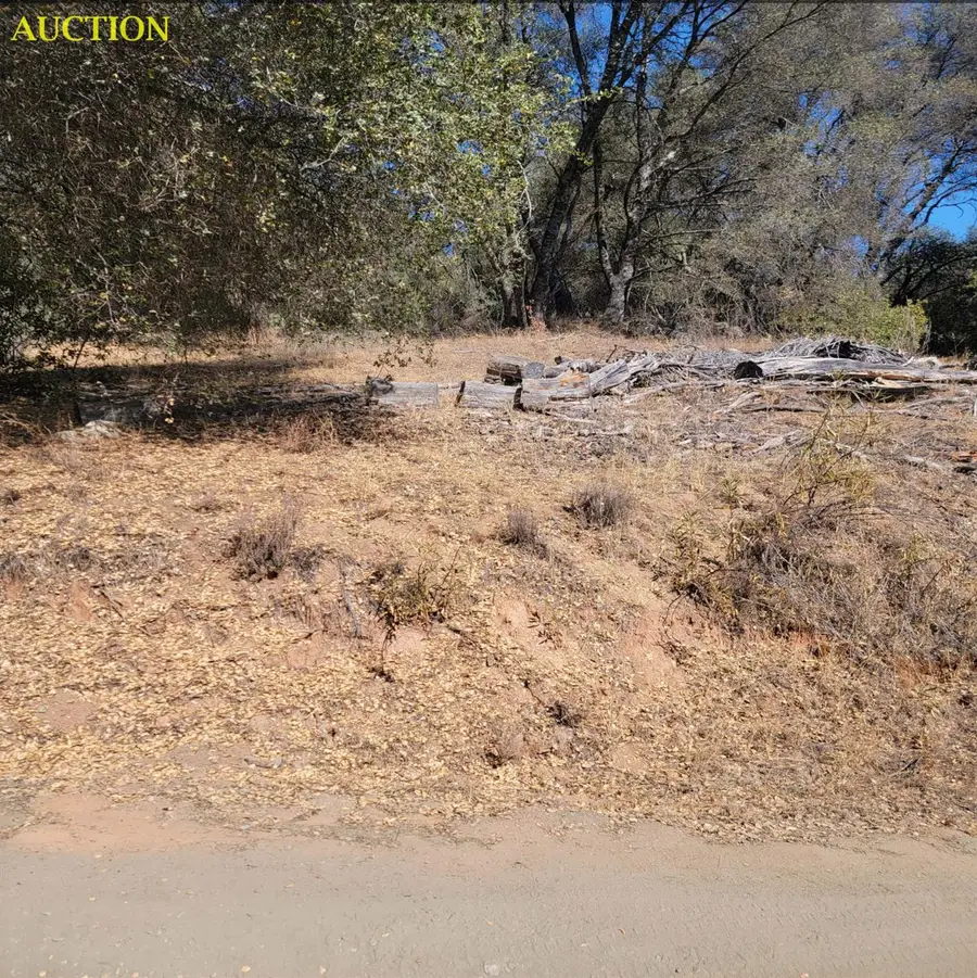 3730 Sherrod Road, Mariposa, CA 95338 - #3