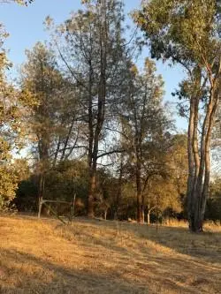 94 Ridgeview Lane, Oroville, CA 95966 - #3