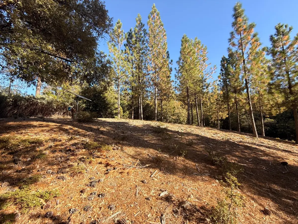 18595 You Bet Rd, Grass Valley, CA 95945 - #1