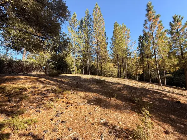 18595 You Bet Rd, Grass Valley, CA 95945