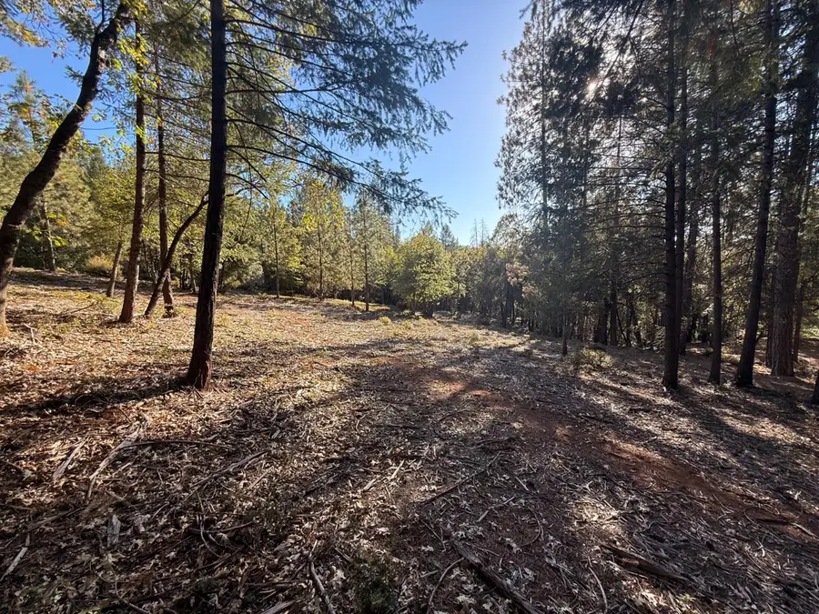 18595 You Bet Rd, Grass Valley, CA 95945 - #2