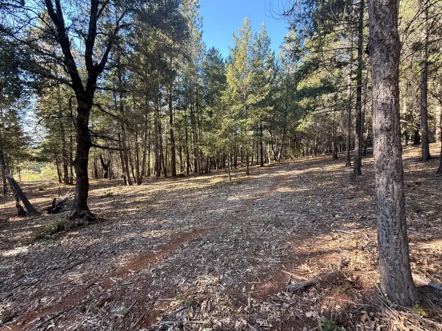 18595 You Bet Rd, Grass Valley, CA 95945 - #3