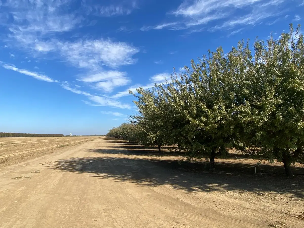 1925 Moran Road, Crows Landing, CA 95313 - #1