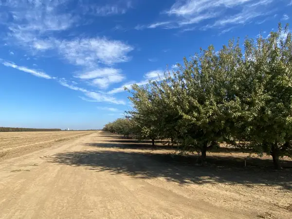 1925 Moran Road, Crows Landing, CA 95313