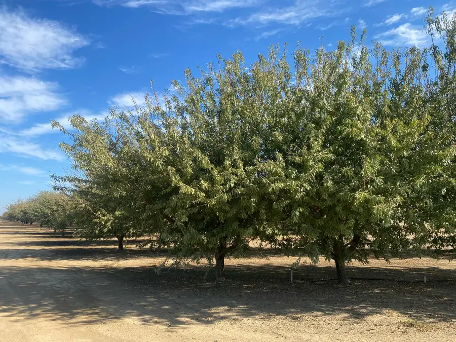 1925 Moran Road, Crows Landing, CA 95313 - #2