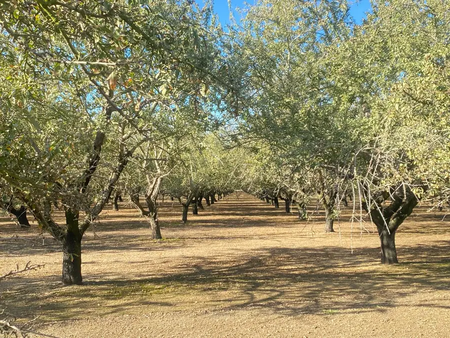 1925 Moran Road, Crows Landing, CA 95313 - #3