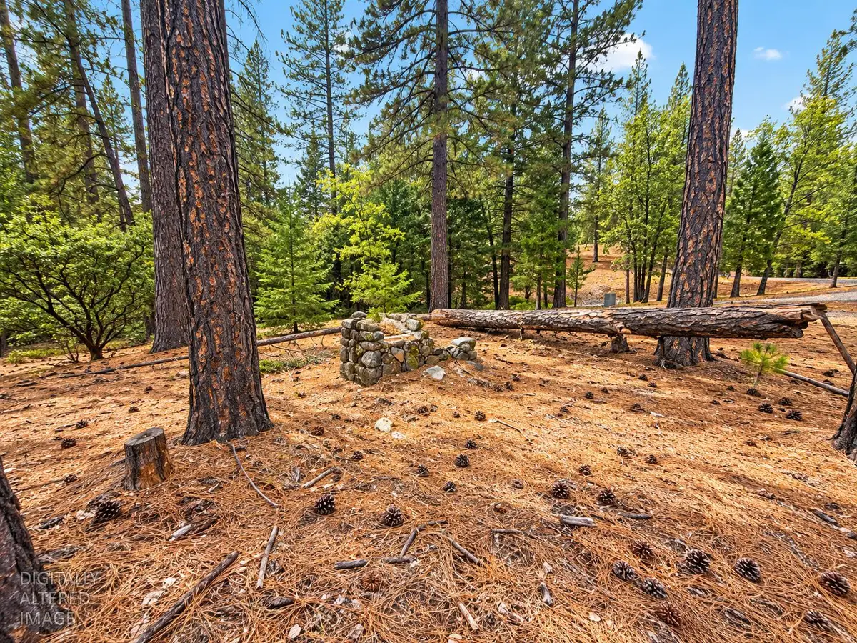 13694 Old Emigrant Trail, Grass Valley, CA 95945 - #1