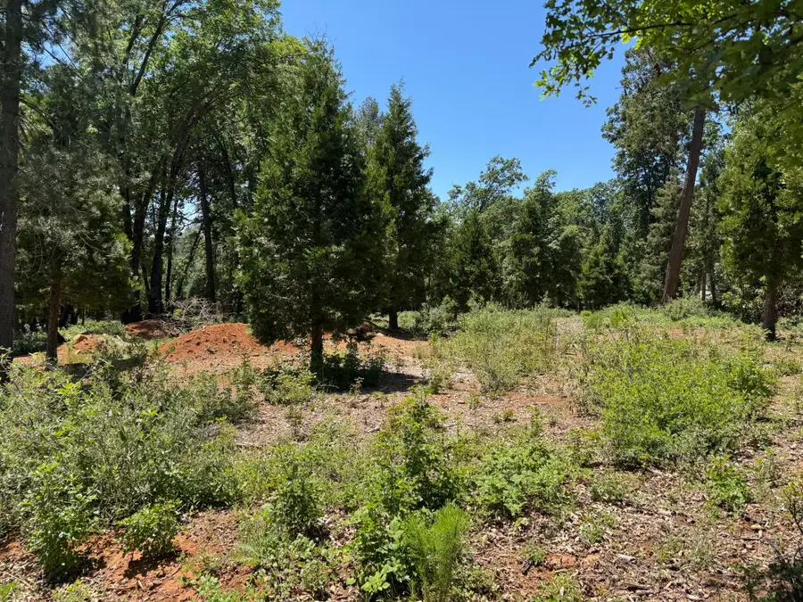 20710 Foresthill Road, Foresthill, CA 95631 - #3