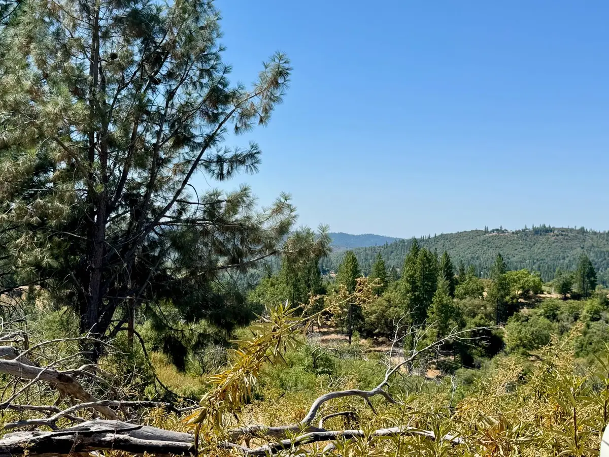 9055 Rodesino Road, Mountain Ranch, CA 95246 - #1