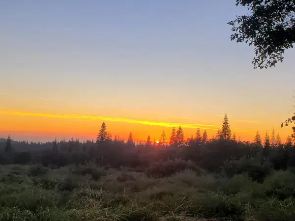 0 Kearsarge Mill Road, Alta, CA 95701