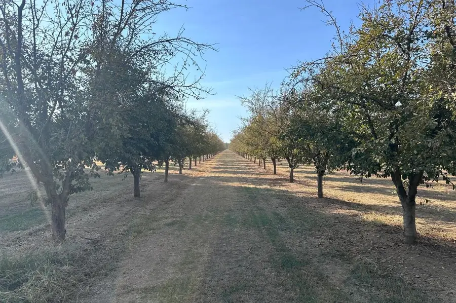 0 Treatment Access Road, Live Oak, CA 95953 - #2