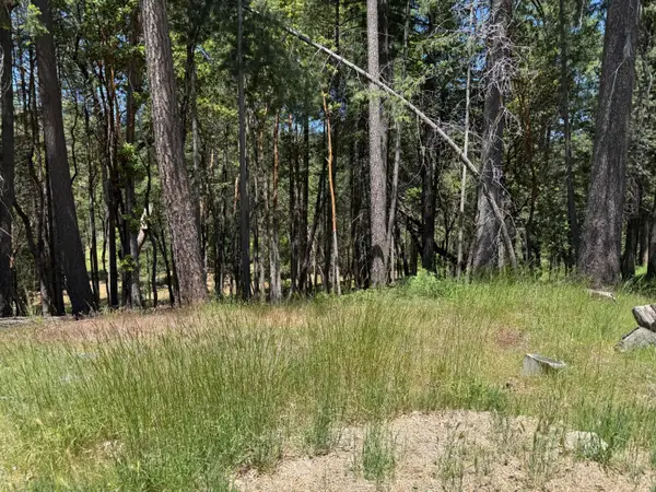 20955 Todd Valley Road, Foresthill, CA 95631