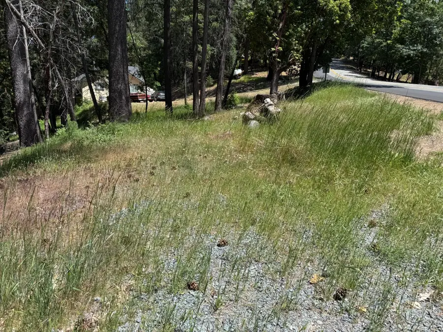 20955 Todd Valley Road, Foresthill, CA 95631 - #3