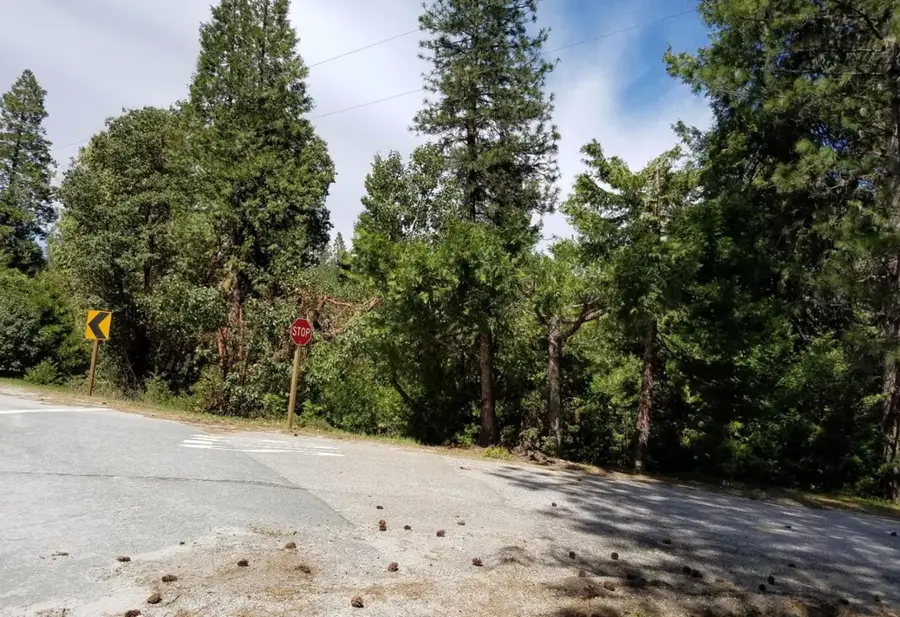 26875 Nobb Hill Court, Pioneer, CA 95666 - #3