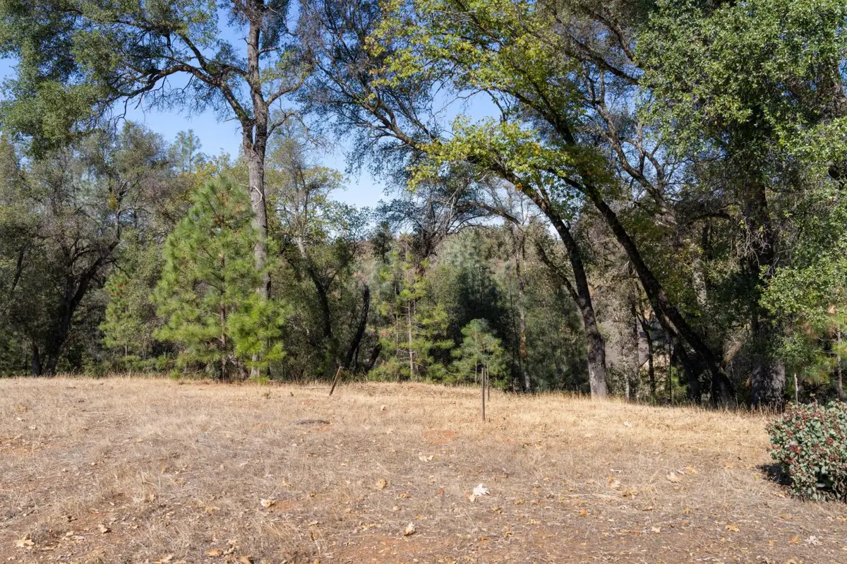 12878 Austin Forest Circle, Auburn, CA 95602 - #1